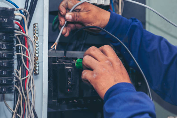 Best Electrical Upgrades for Homes  in Farmington, MN