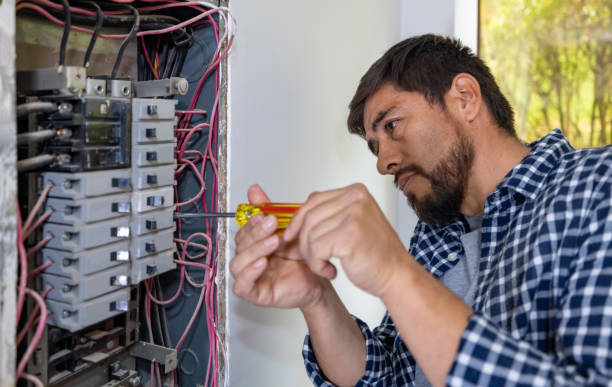 Best Licensed Electrician  in Farmington, MN